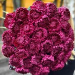 Хризантема Повна (махрова)